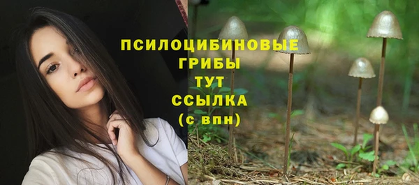 сатива Баксан