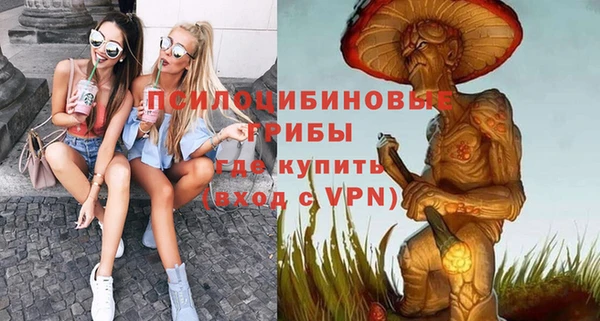 ГАЛЛЮЦИНОГЕННЫЕ ГРИБЫ Богородицк