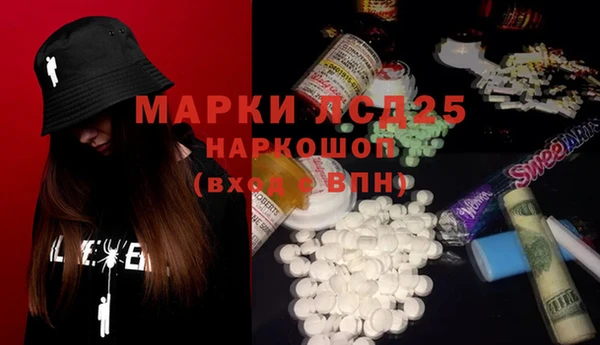 ГАЛЛЮЦИНОГЕННЫЕ ГРИБЫ Беломорск