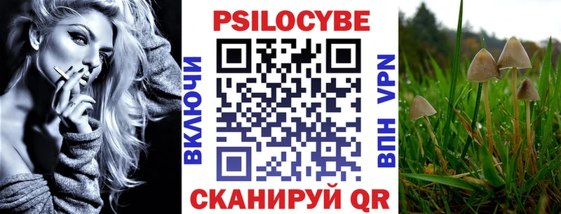 ссылка на мегу   Карасук  Галлюциногенные грибы GOLDEN TEACHER  где купить наркоту 